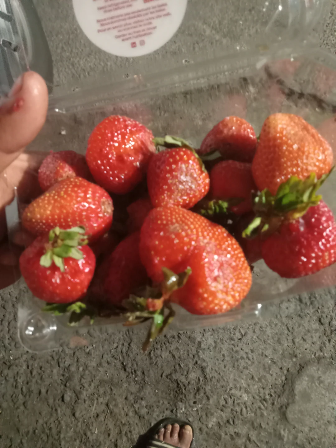 Always Fresh Strawberries