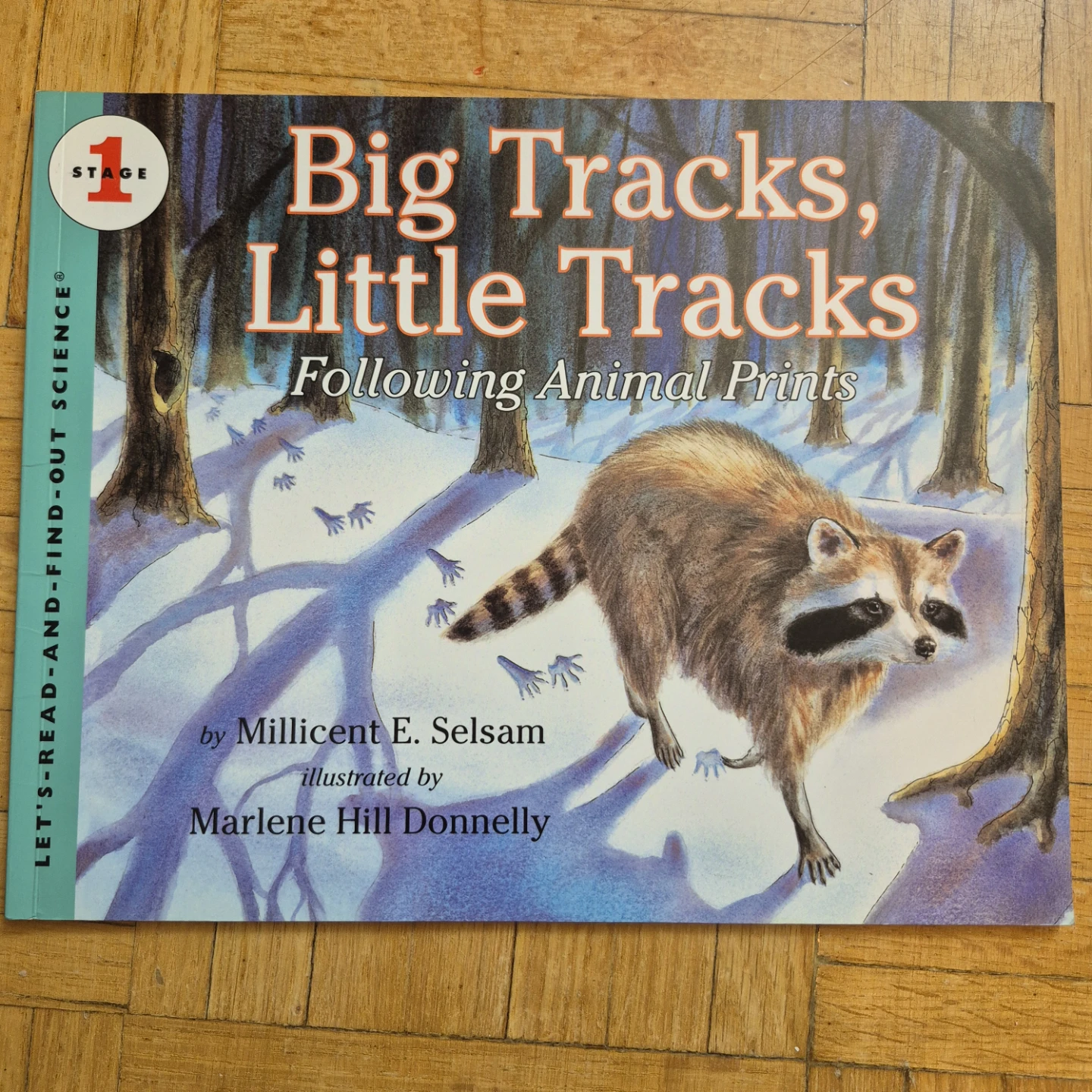 9 Winter-themed books for Kindergarten or Preschool - photo 2