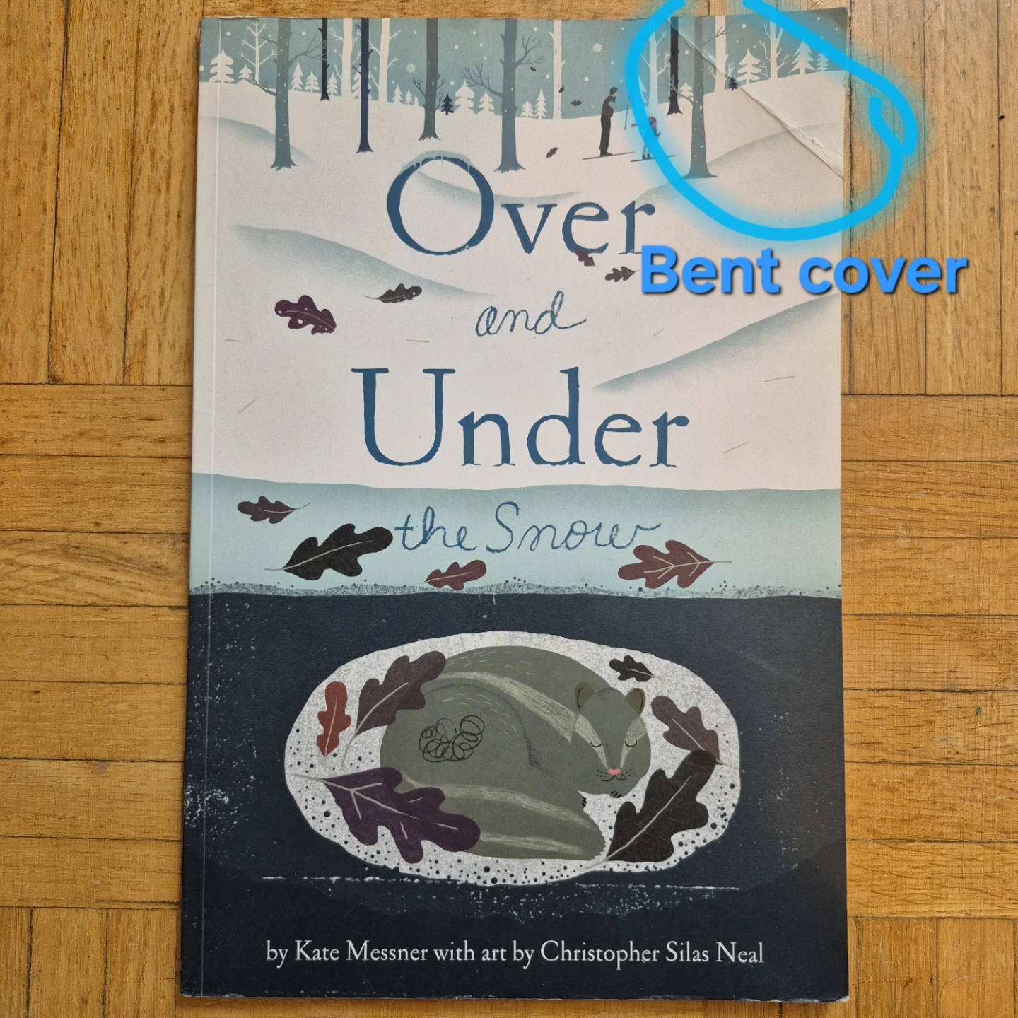 9 Winter-themed books for Kindergarten or Preschool - photo 3