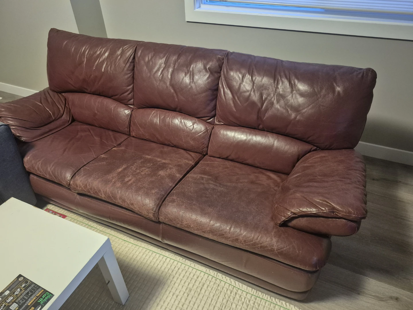 Brown Leather Sofa