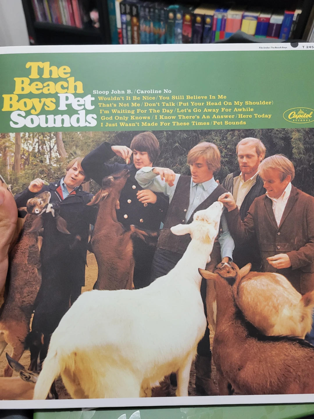 The Beach Boys Pet Sounds Monophonic One-Step Vinyl - photo 3