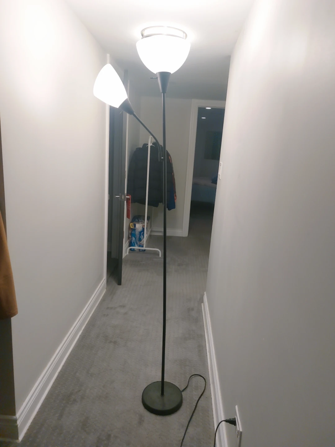 Dual Head Floor Lamp - photo 2