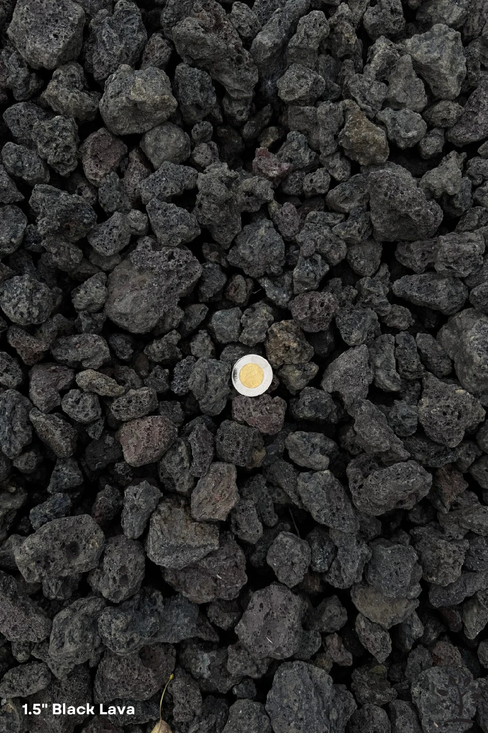 1.5" Black Lava Rocks