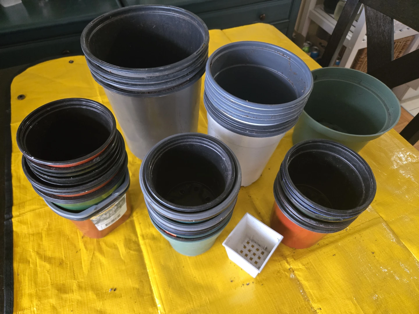 Assortment of plastic nursery pots