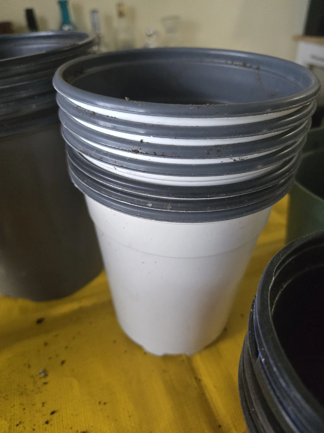 Assortment of plastic nursery pots - photo 4