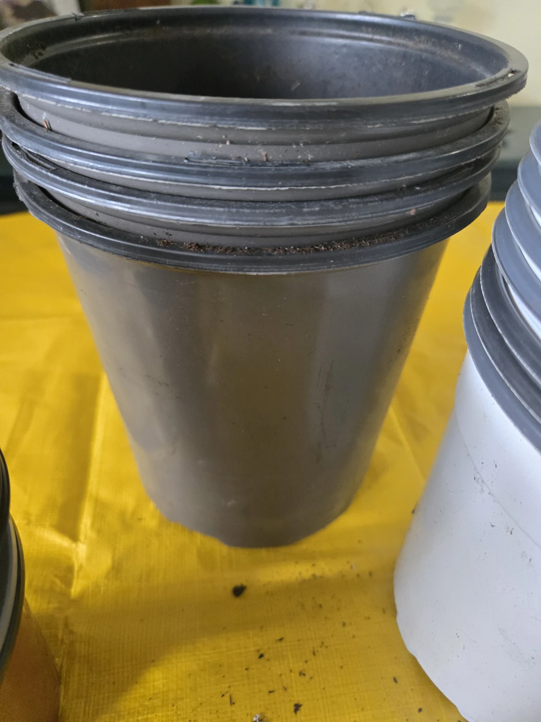 Assortment of plastic nursery pots - photo 5