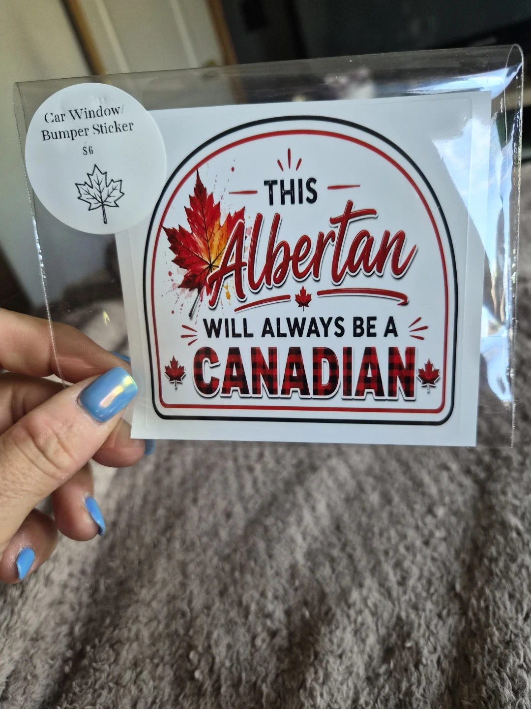 Car Window/Bumper Sticker