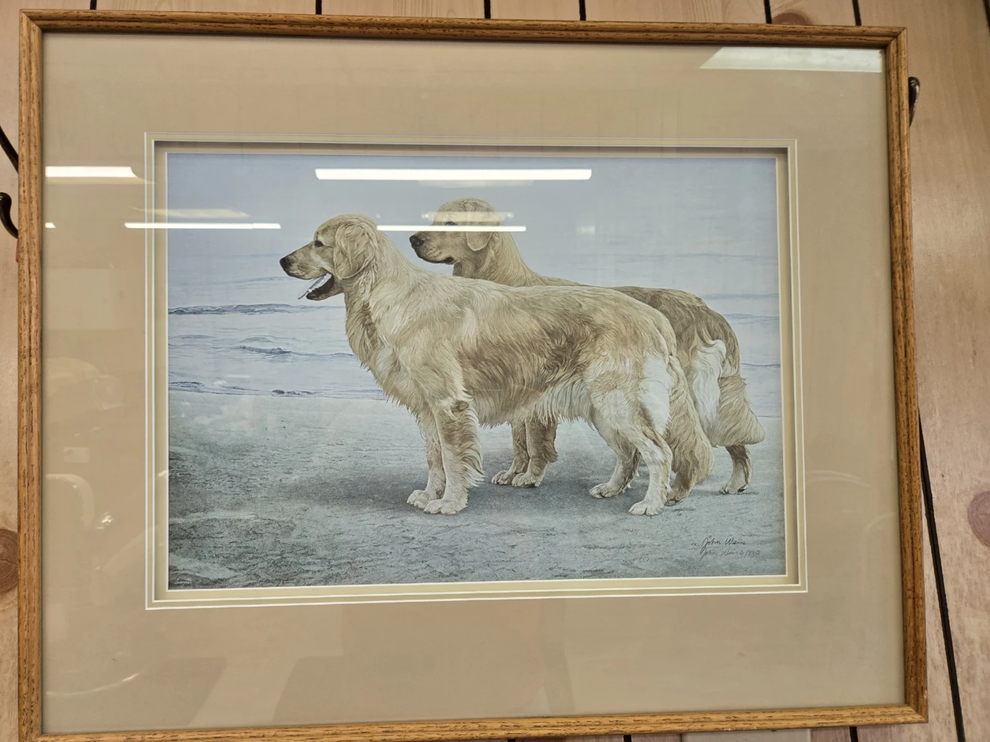 John Weiss "Golden Retrievers on Beach" Print