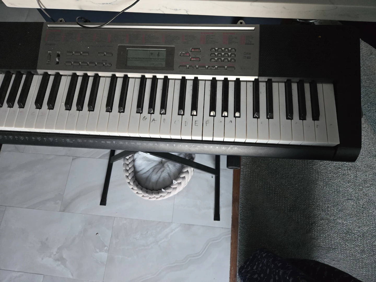 Casio LK-165 Portable Keyboard