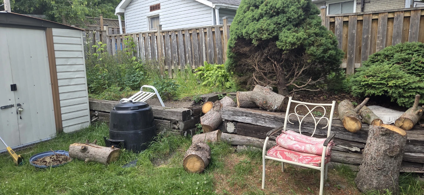 Free fire wood - photo 2