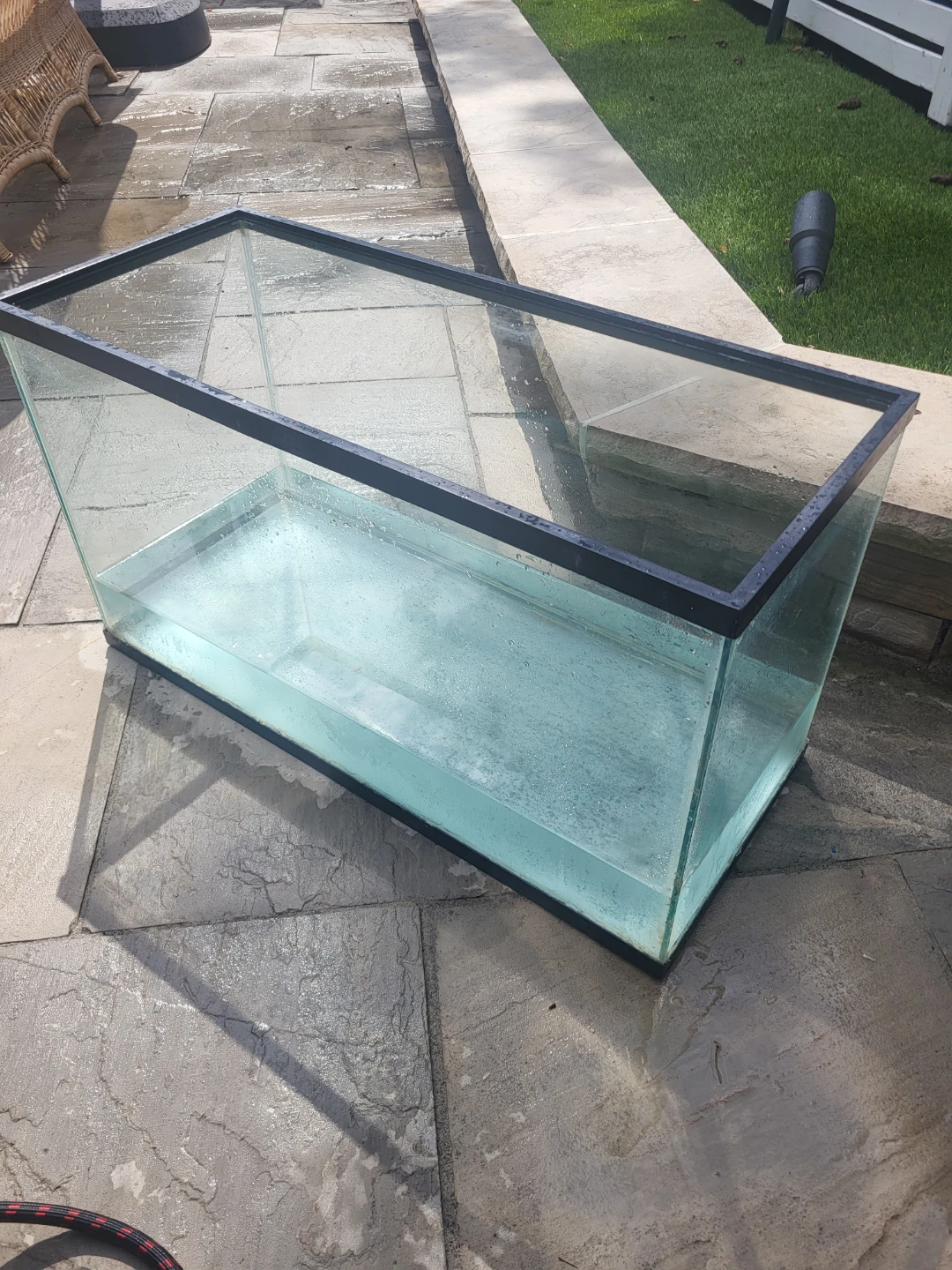 20 Gallon Terrarium /fish tank
