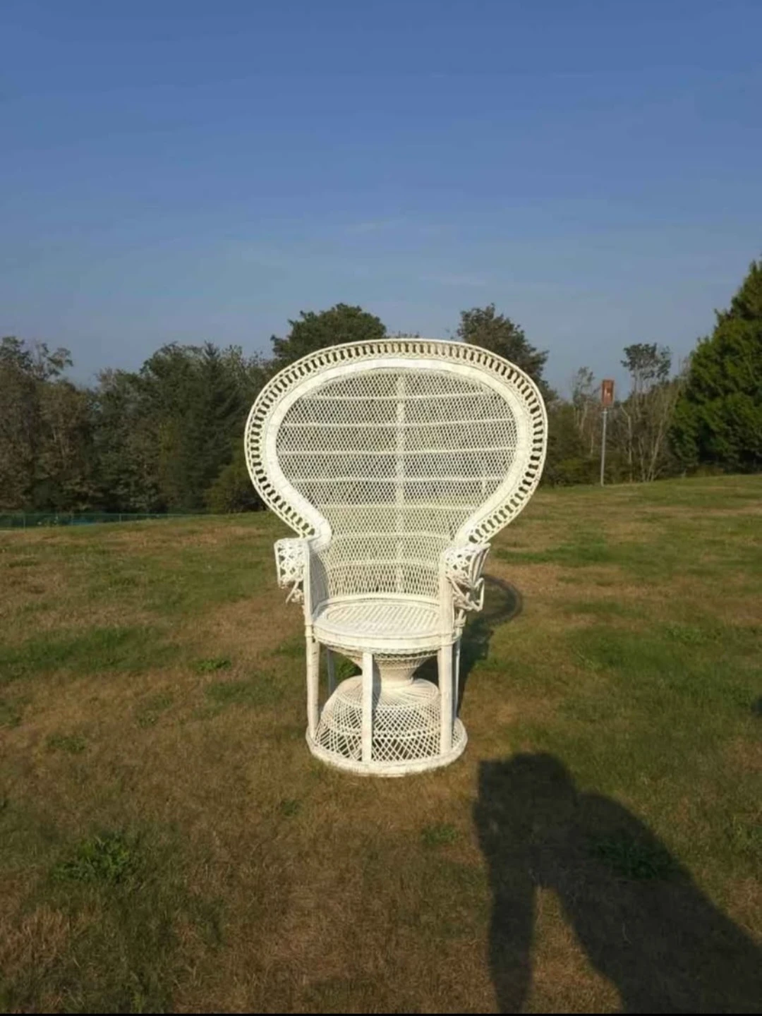 White Peacock Chair Sale!!!!!!