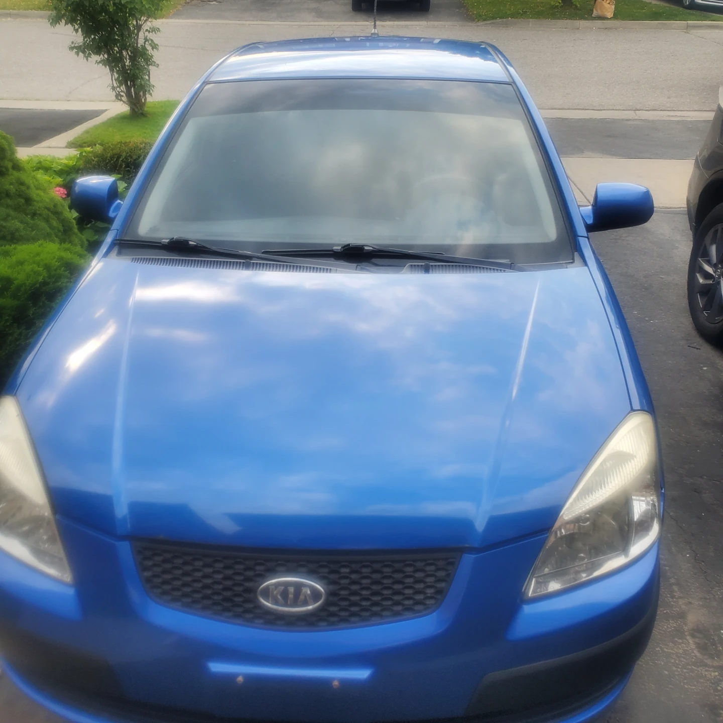 Blue Kia Rio5 - photo 5