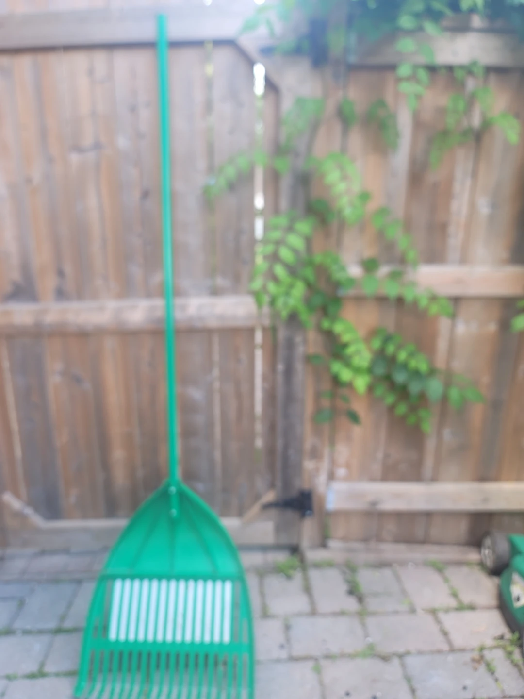 Green Leaf Rake - photo 3