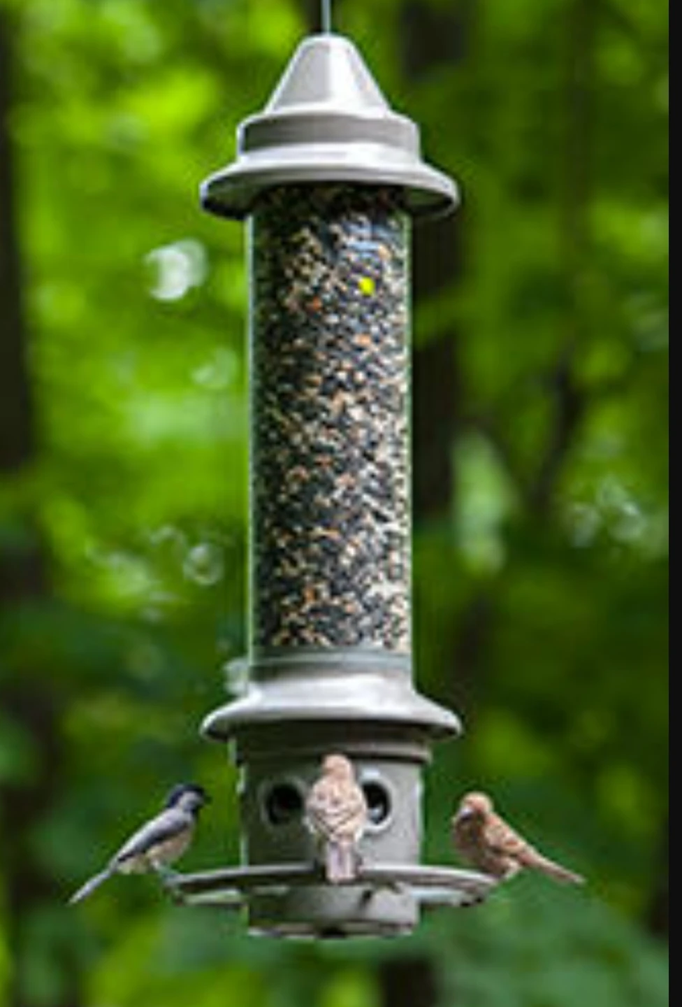Bird Feeder Squirrel Proof - Wild Birds Unlimited ELIMINATOR - photo 2