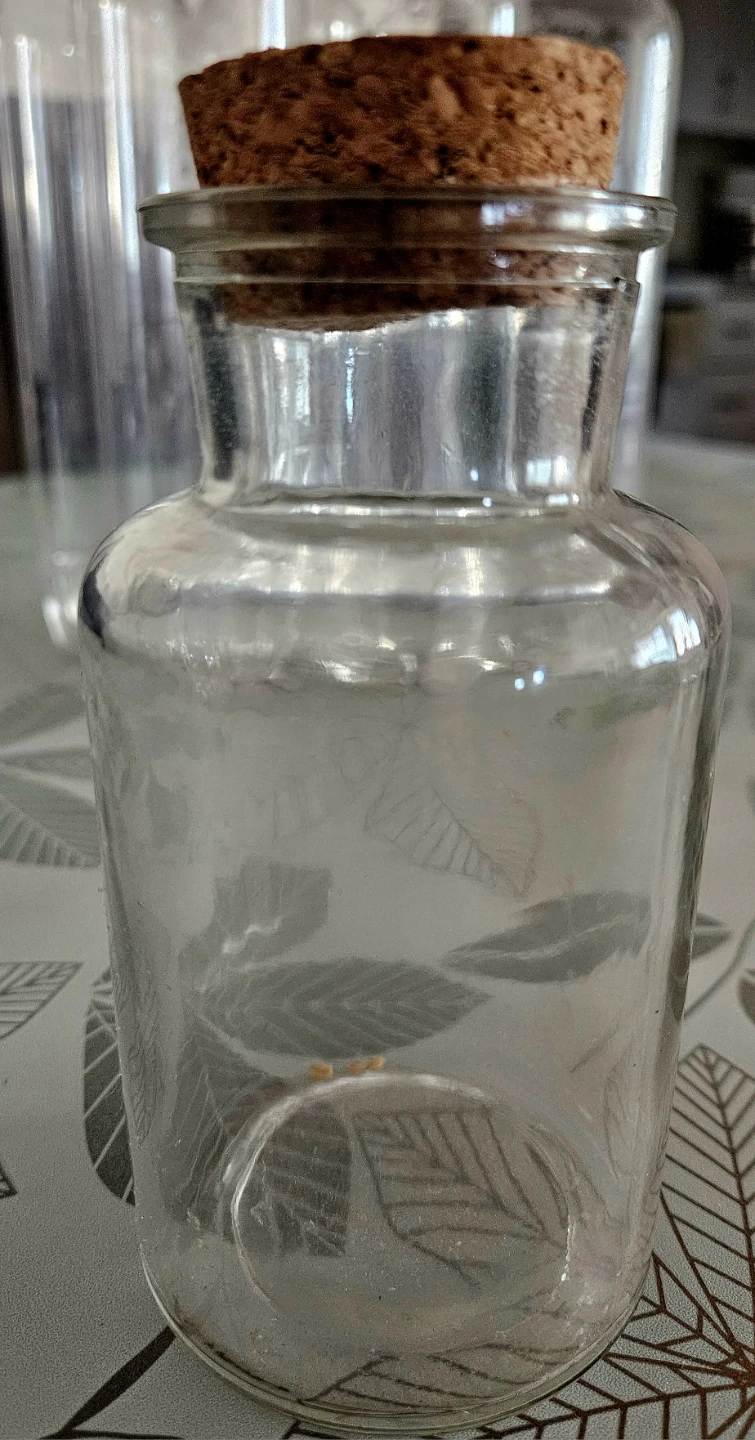 Clear glass jar with cork lid ✨️ #freecycle