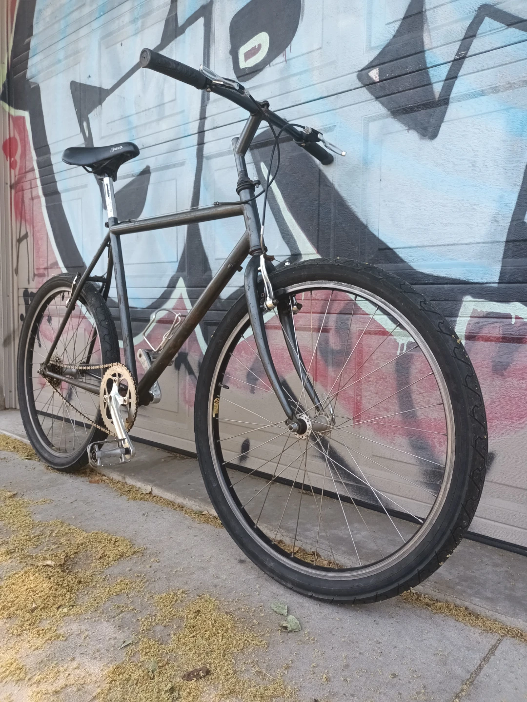 Single Speed Bike for tall Parson