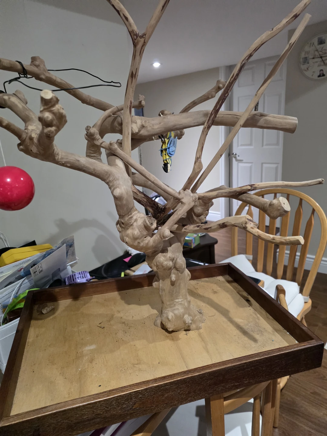 Natural Wood Bird Perch Stand