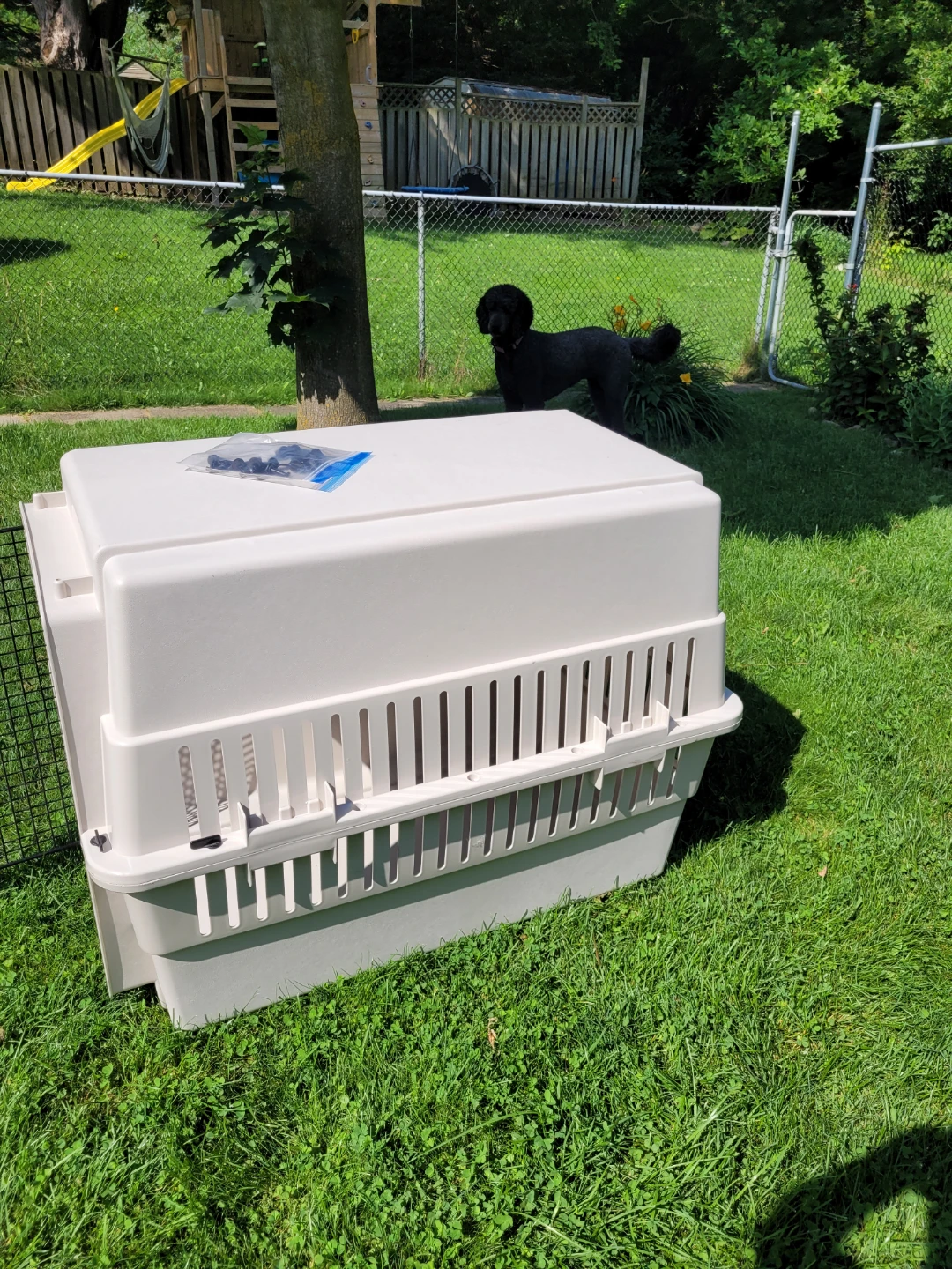 X Large Pet Carrier - photo 4