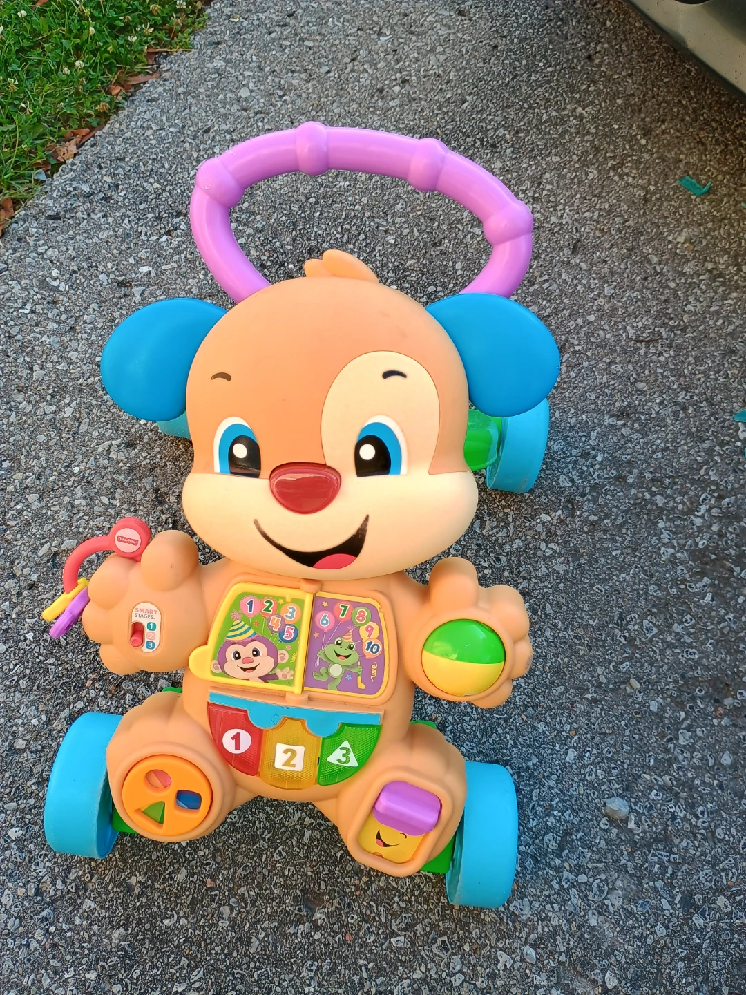 Fisher-Price Laugh & Learn Puppy Walker