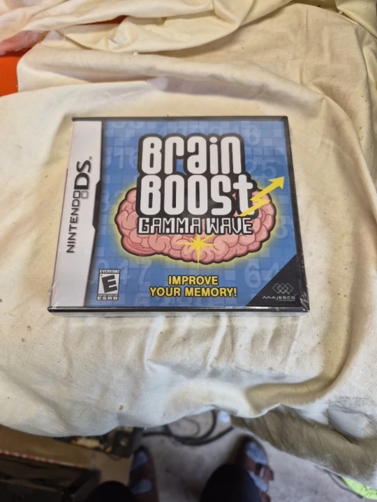 Brain Boost: Gamma Wave Nintendo DS Game
