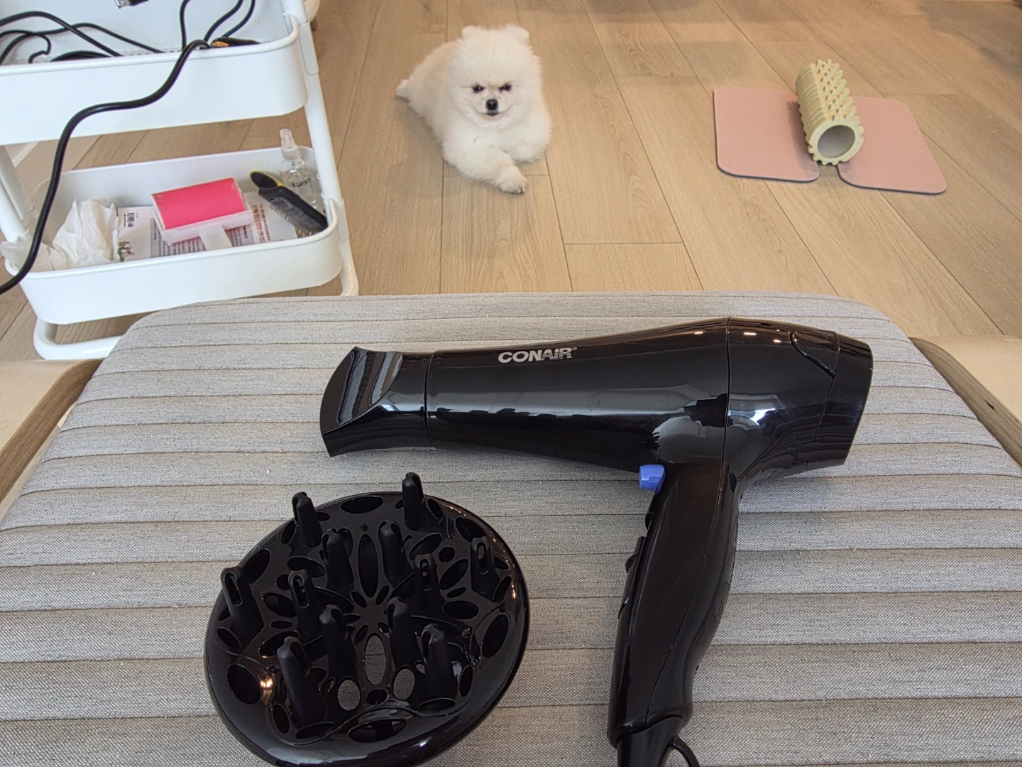 Conair Black Hair Dryer with Diffuser - photo 5