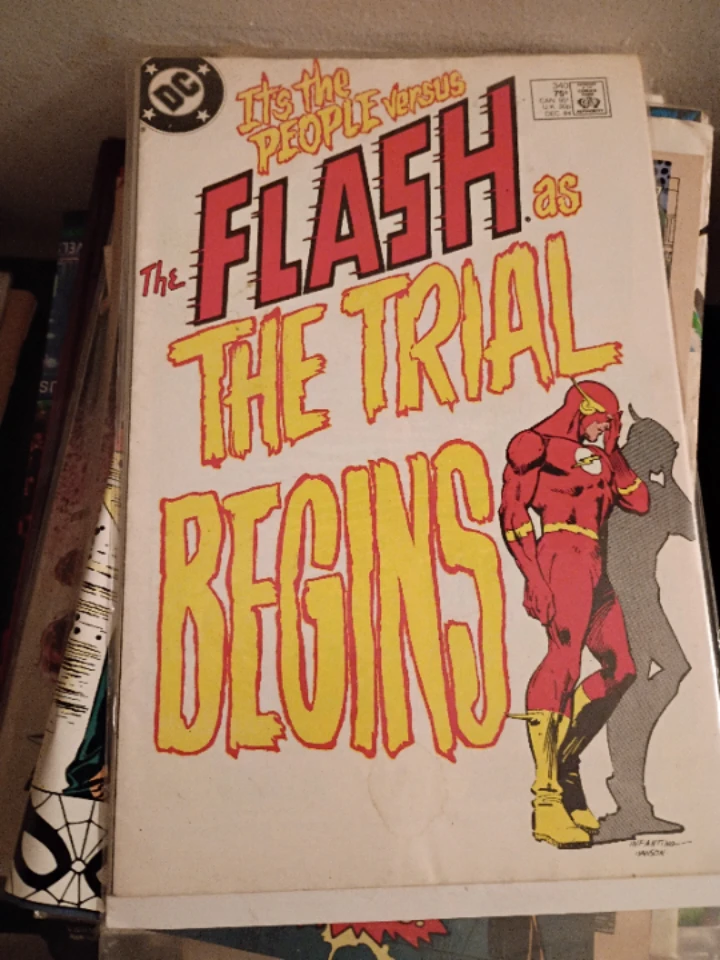 DC Comics The Flash: The Trial Begins Comic Book