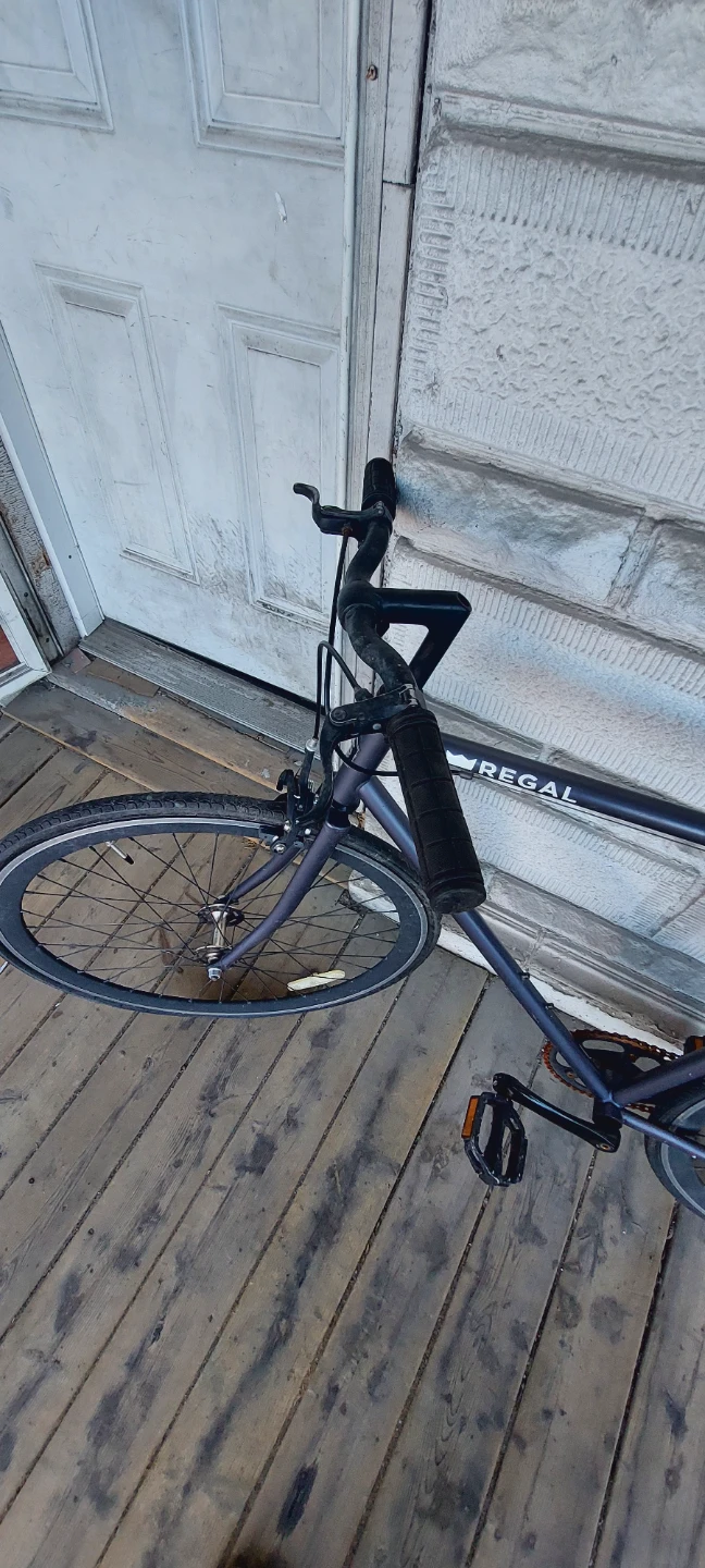 Regal Road Bike single speed - photo 3