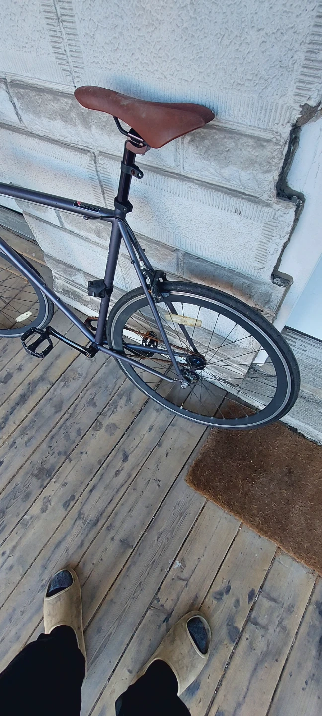 Regal Road Bike single speed - photo 4
