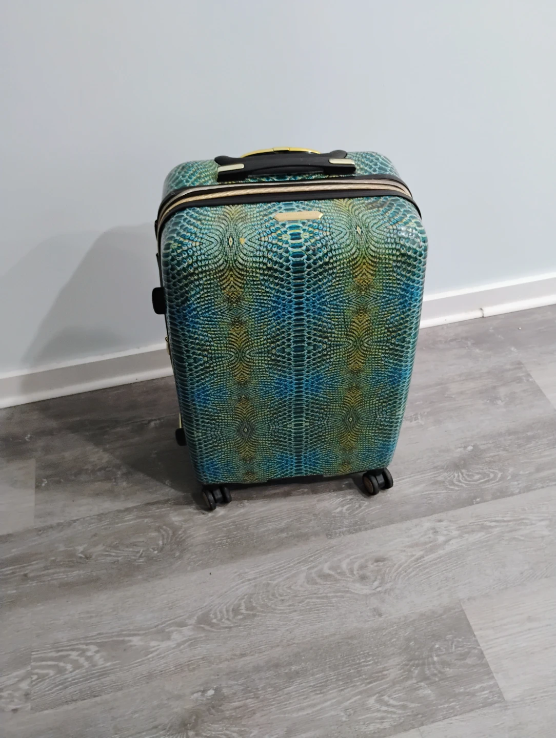 Aimee Kestenberg luggage
