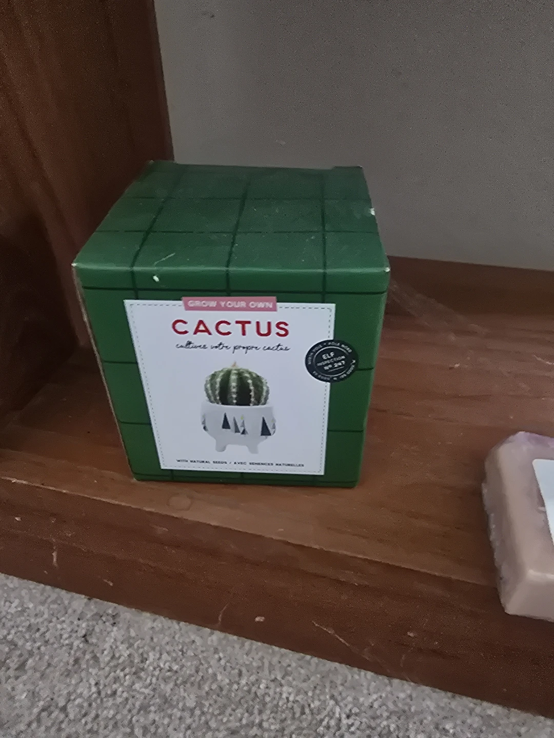 Grow Your Own Cactus Kit