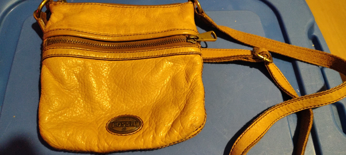Fossil Leather Crossbody Bag