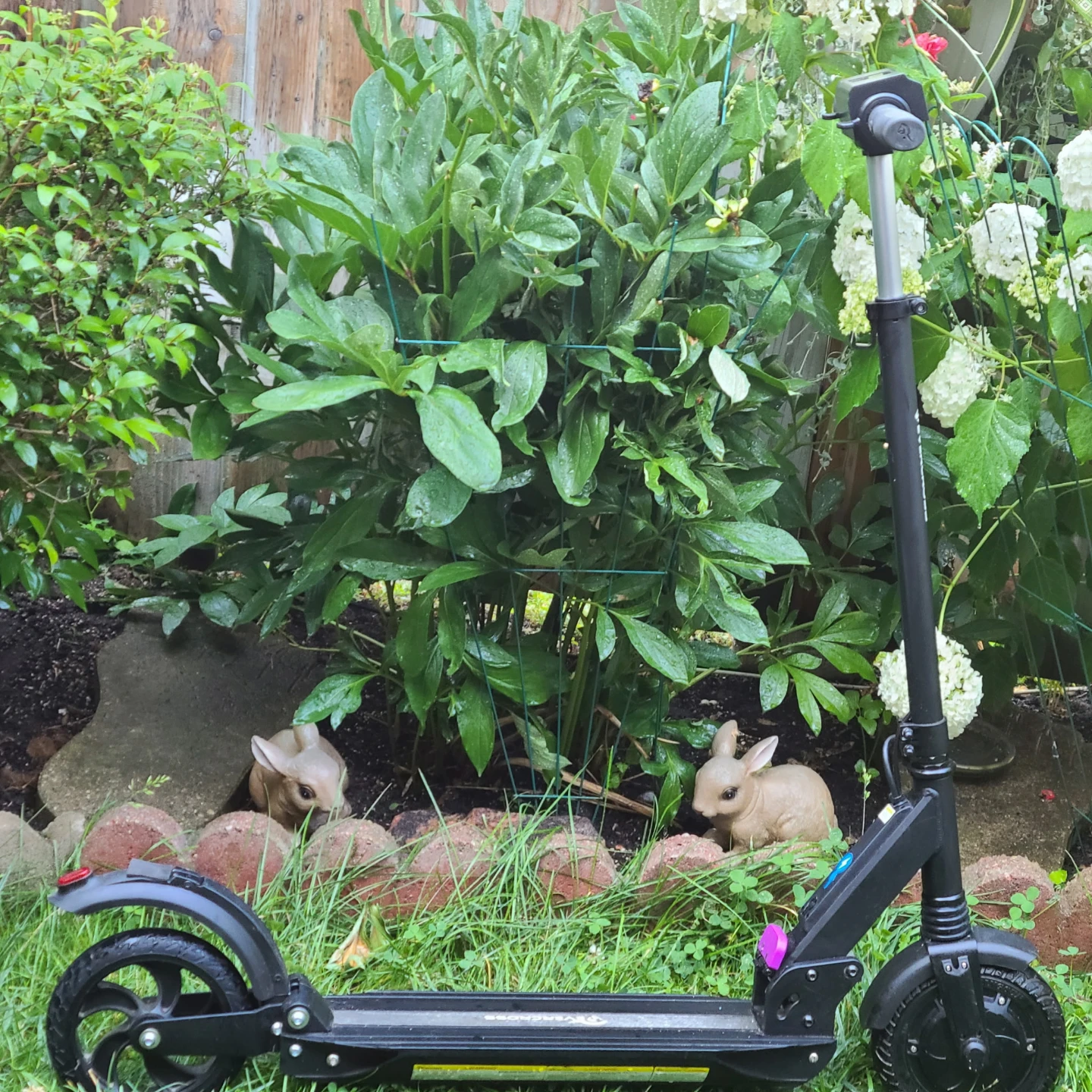 Scooter 🛴