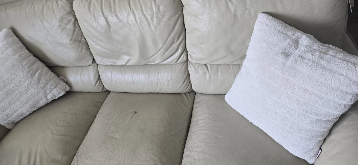 FREE SOFA