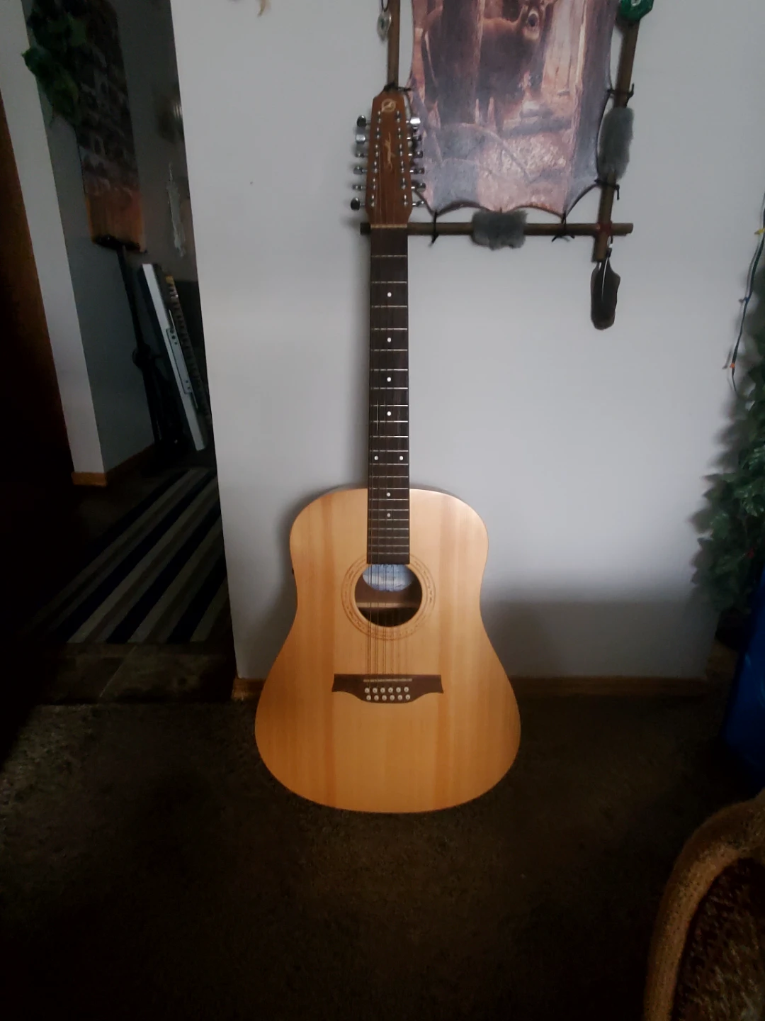 Seagull 12-String Acoustic Guitar