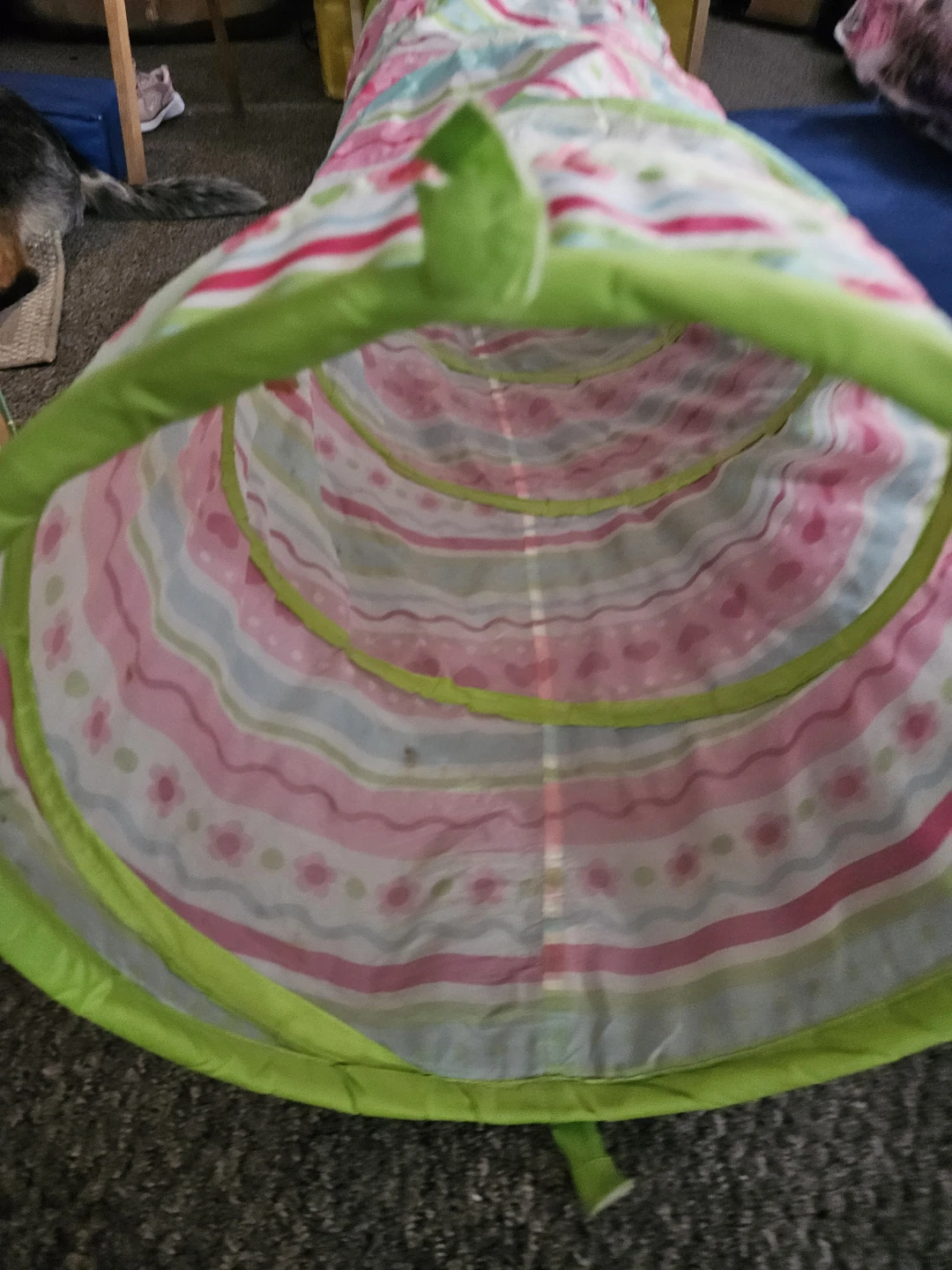 Kids Play Tunnel Tent Butterfly Design - photo 3