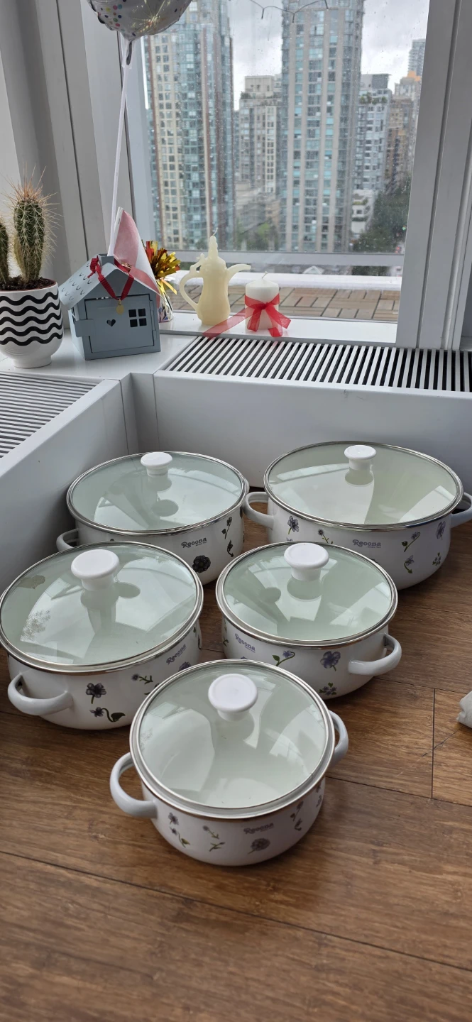 Reoona Enamel Pot Set with Glass Lids
