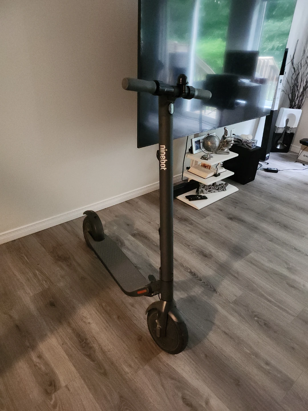 Ninebot Electric Scooter