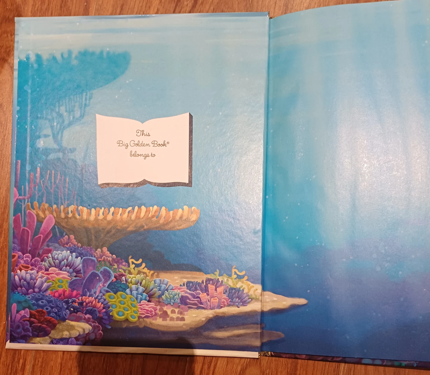 Disney Pixar: Finding Dory - A Big Golden Book - photo 4