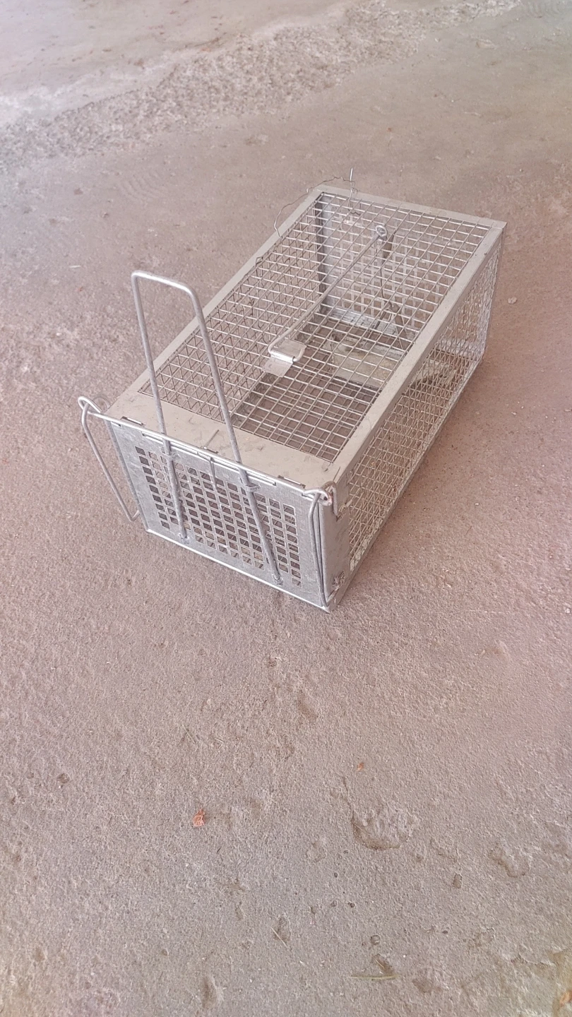 Metal Humane Live Animal Trap