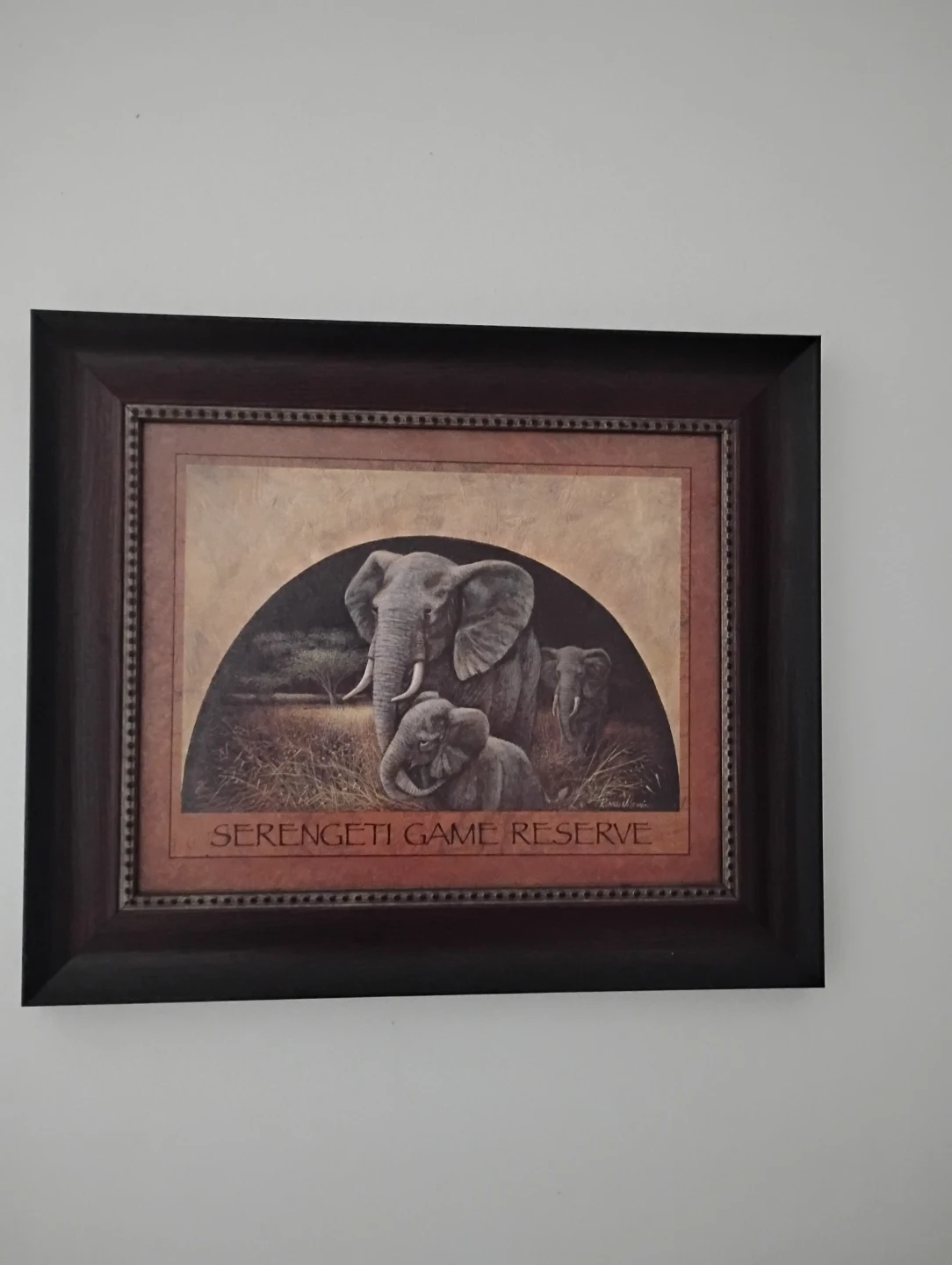 Serengeti Game Reserve Framed Art