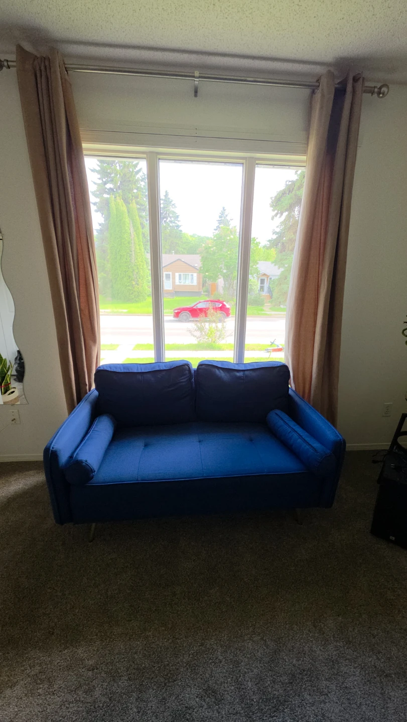 Blue Loveseat Sofa