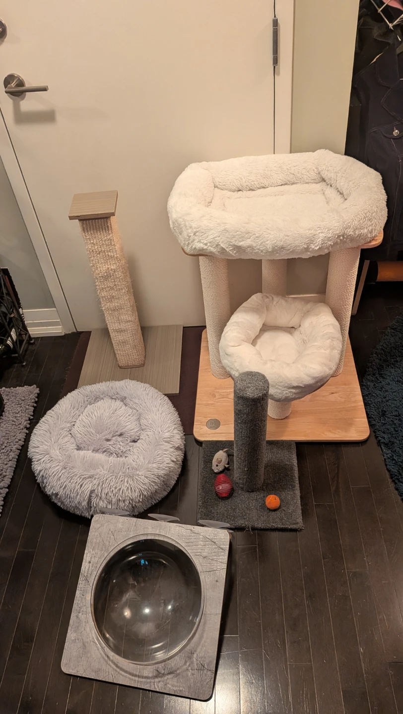 Cat Bundle-Beds, Posts, Window Perch and Hammock Set