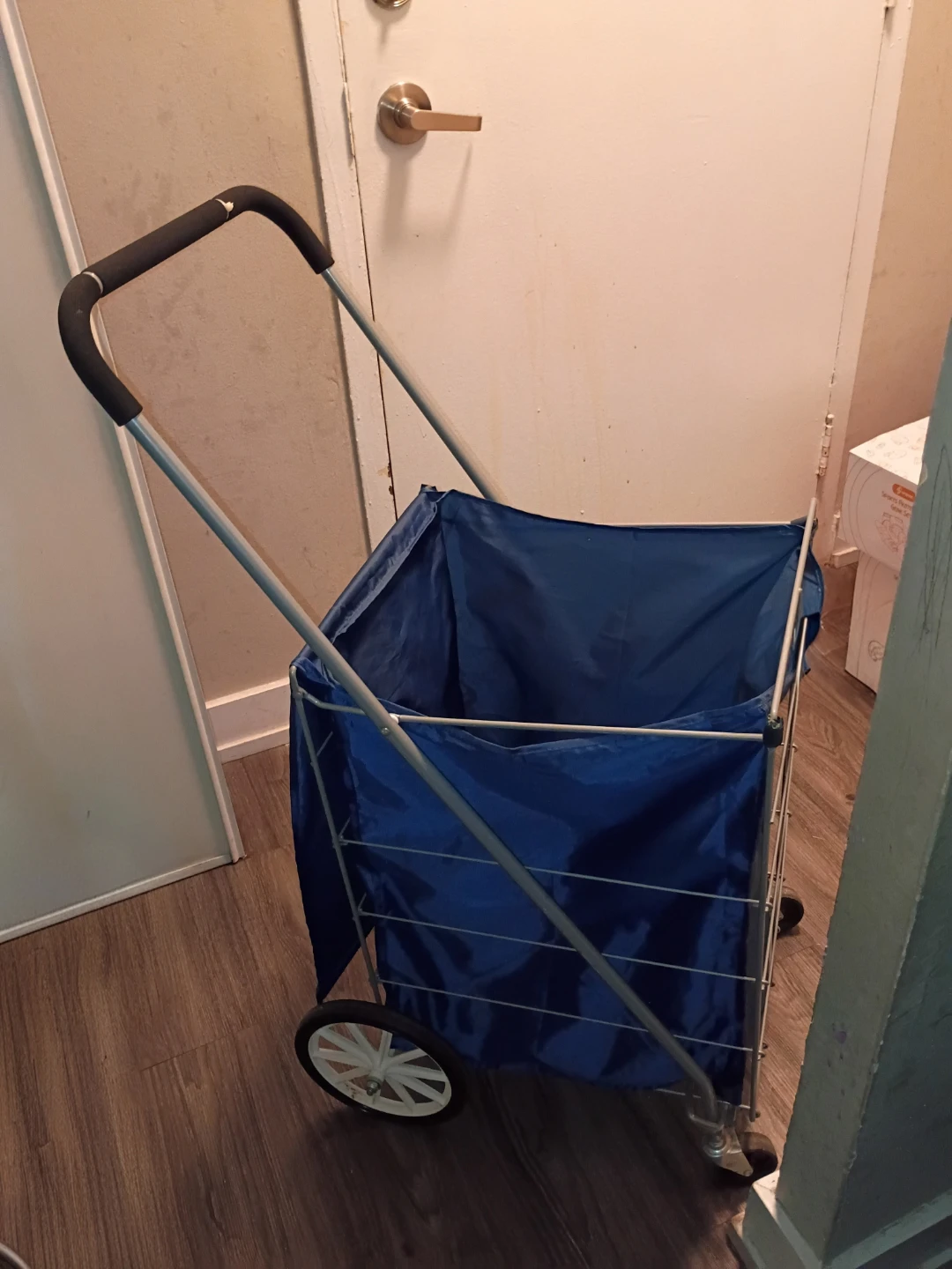Blue Shopping Cart with Metal Frame