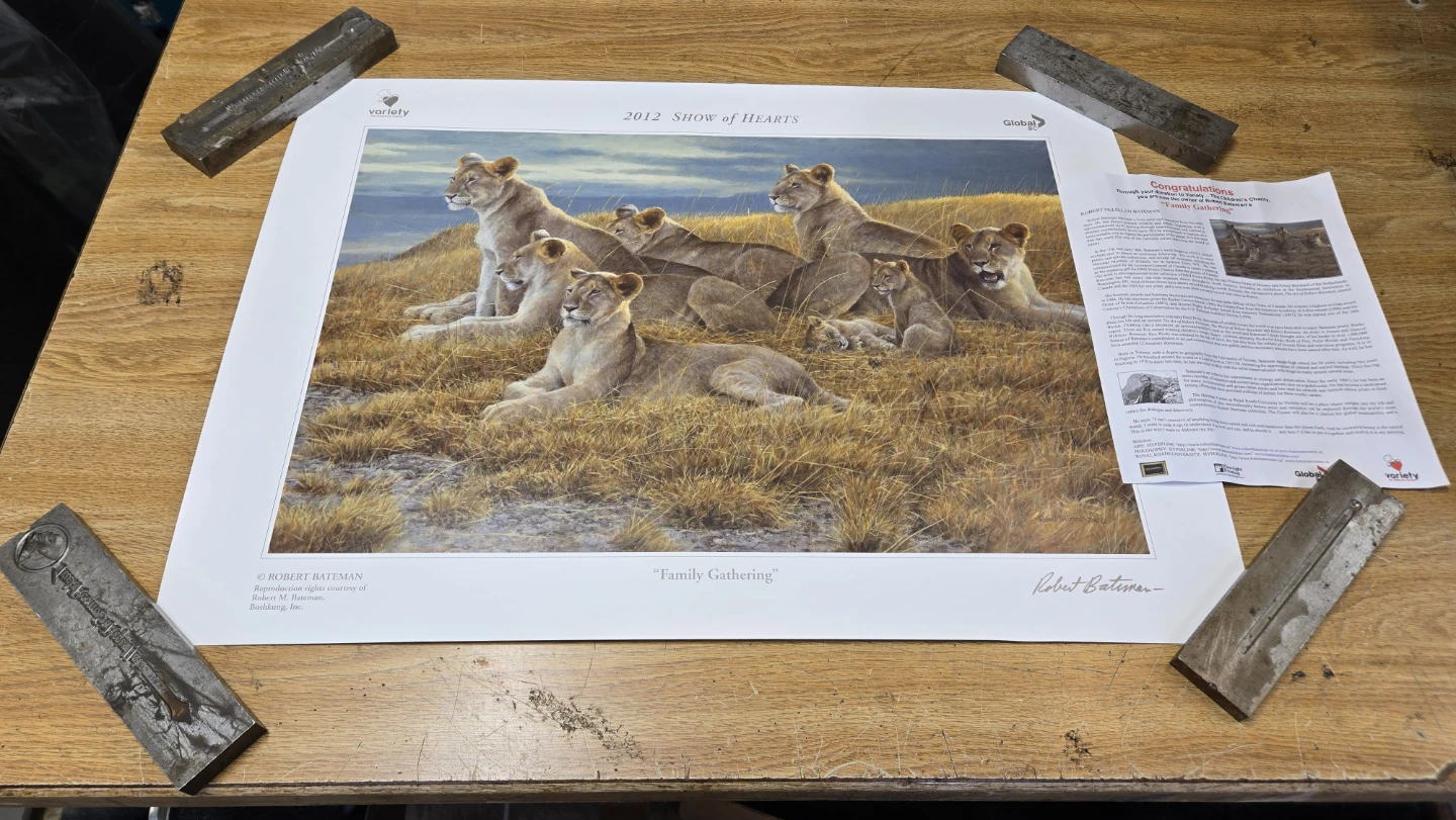 Robert Bateman "Sleeping Snow Leopard" Print - photo 3