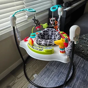 Baby Einstein Neighborhood Friends Activity Jumper