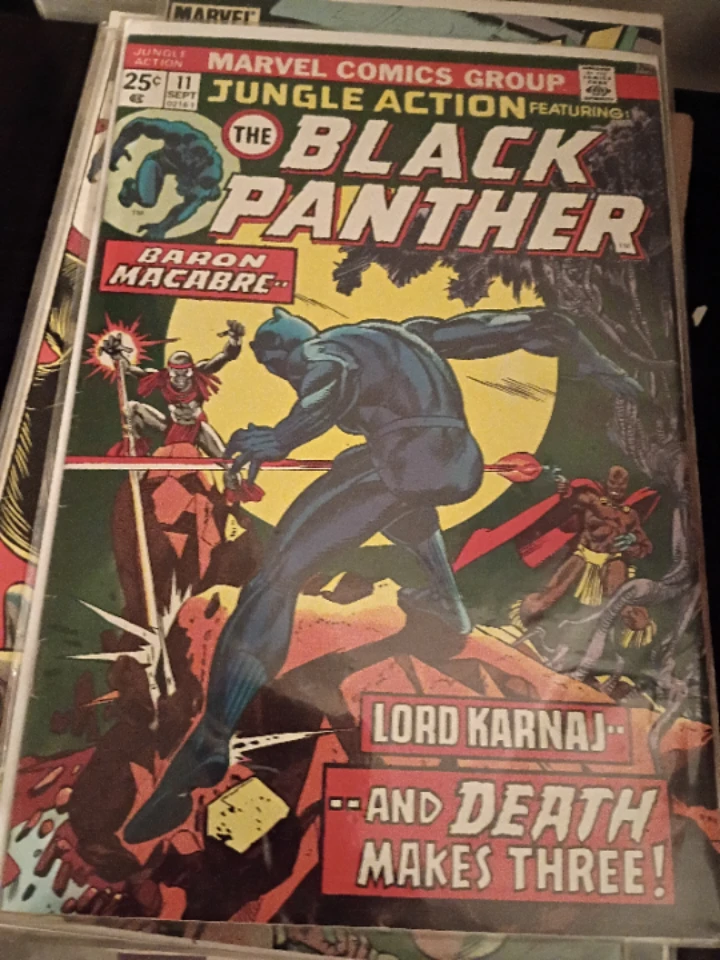 The Black Panther Lot - photo 2