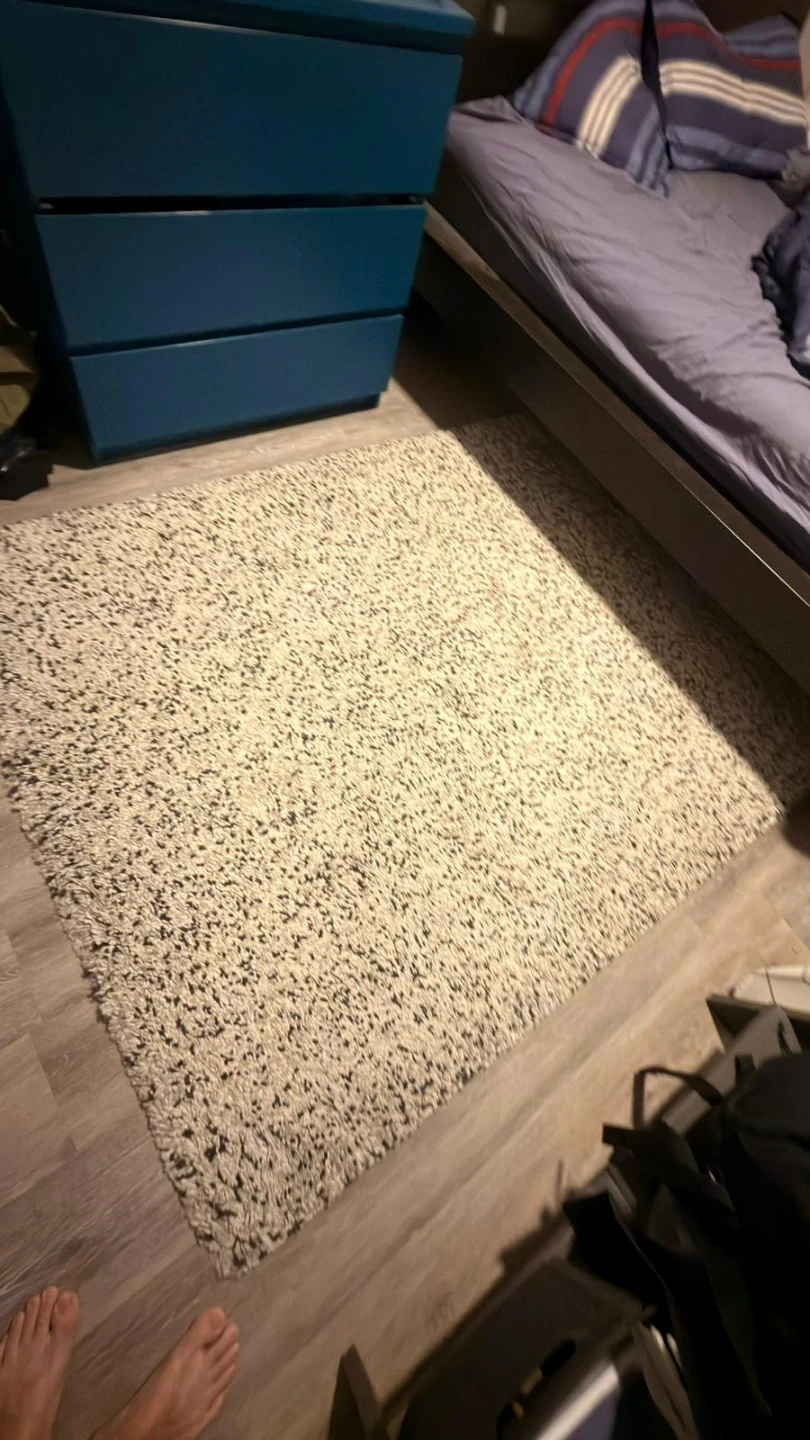 Ikea Cream and Black Shaggy Area Rug - photo 2