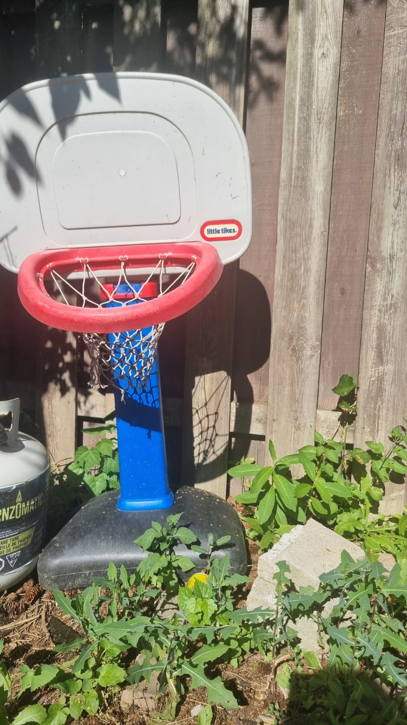 Little Tikes Adjustable Basketball Hoop