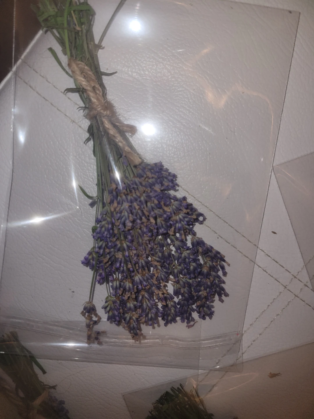 Bunch of fresh lavender flowers - photo 3
